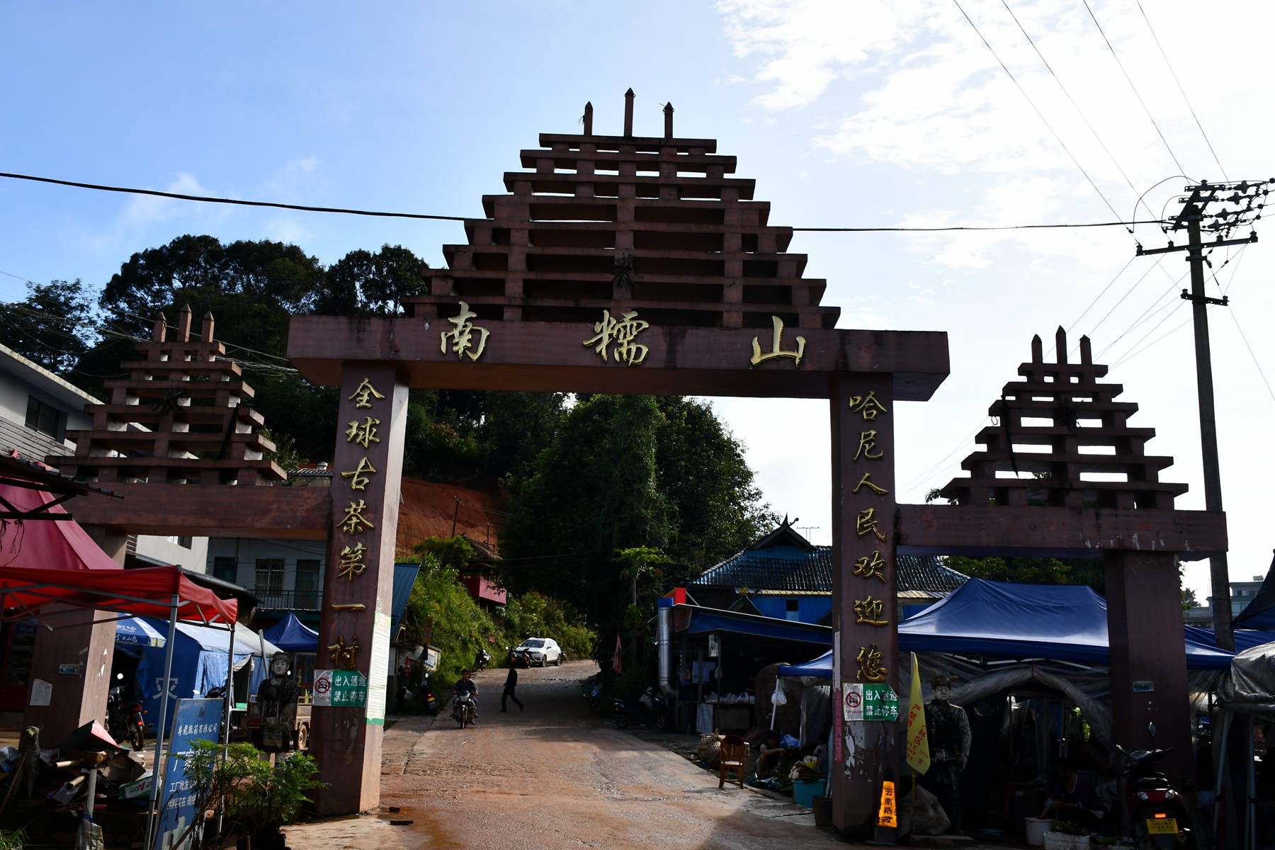 2023年南糯山古樹春茶價(jià)格是多少？