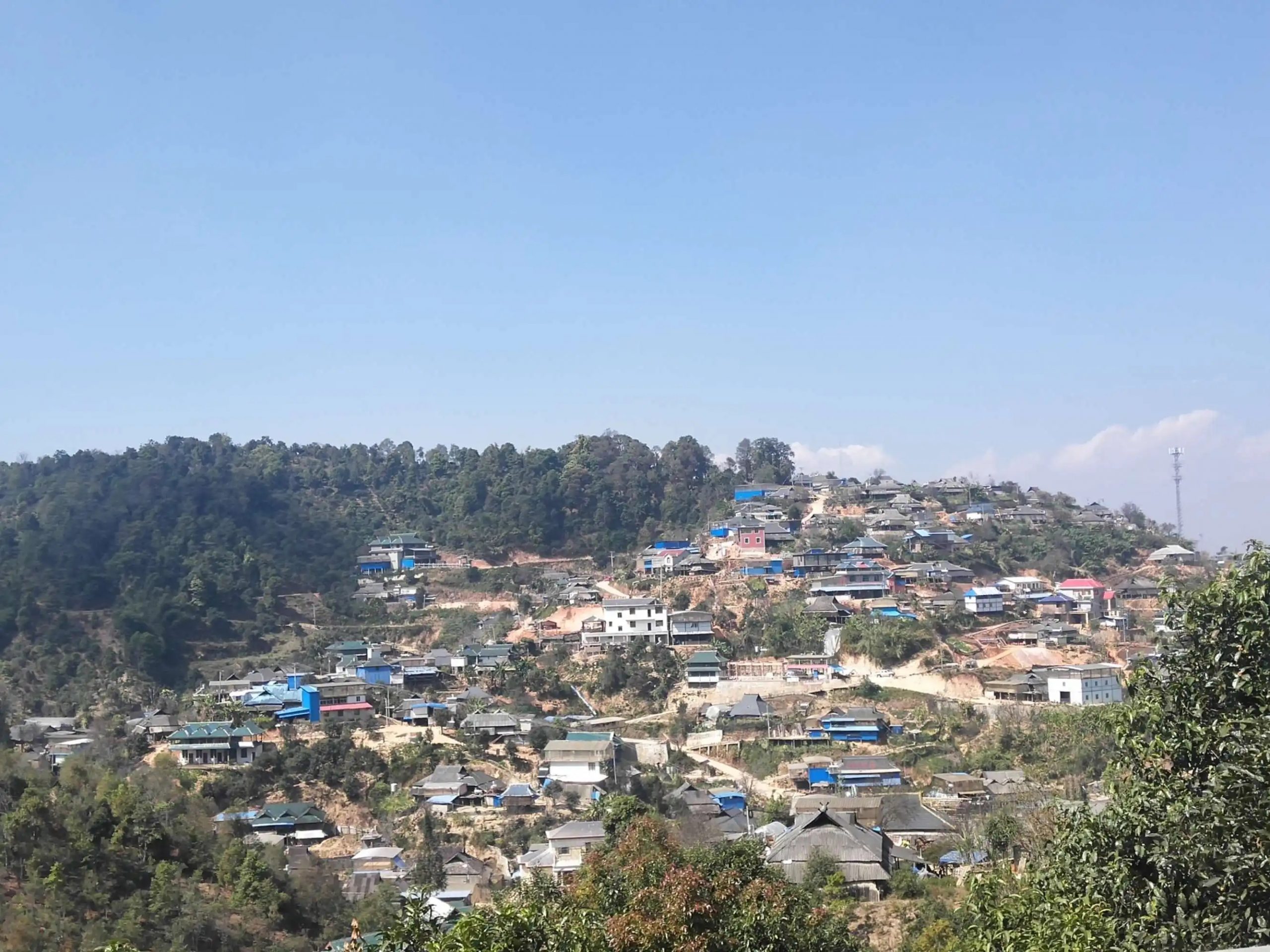 2023年帕沙古樹春茶品質如何？