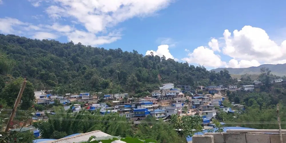 2023年那卡古樹春茶品質(zhì)如何？