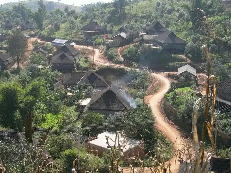 2023年保塘老寨古樹(shù)春茶品質(zhì)如何？