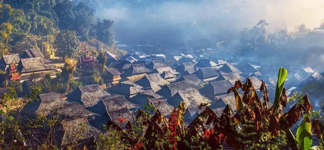 2023年景邁古樹春茶品質(zhì)如何？