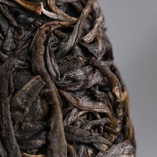 2023年迷帝古樹春茶價格是多少？