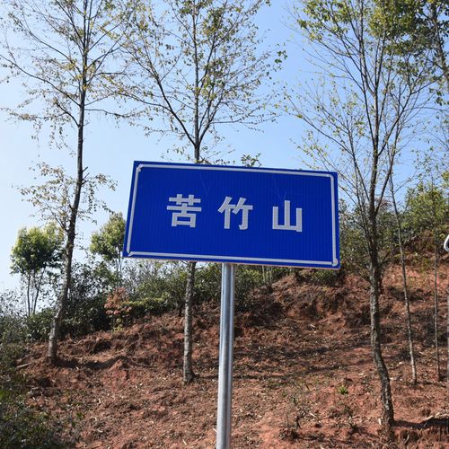 2023年苦竹山古樹春茶品質(zhì)如何？