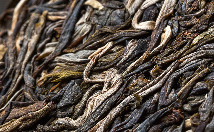 2023年冰島古樹(shù)春茶多少錢(qián)一公斤？