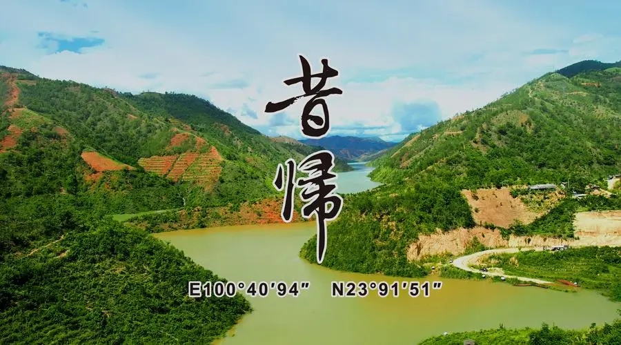 2023年昔歸古樹春茶品質(zhì)如何？