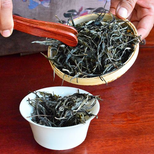 2023年地界古樹(shù)春茶口感是什么？