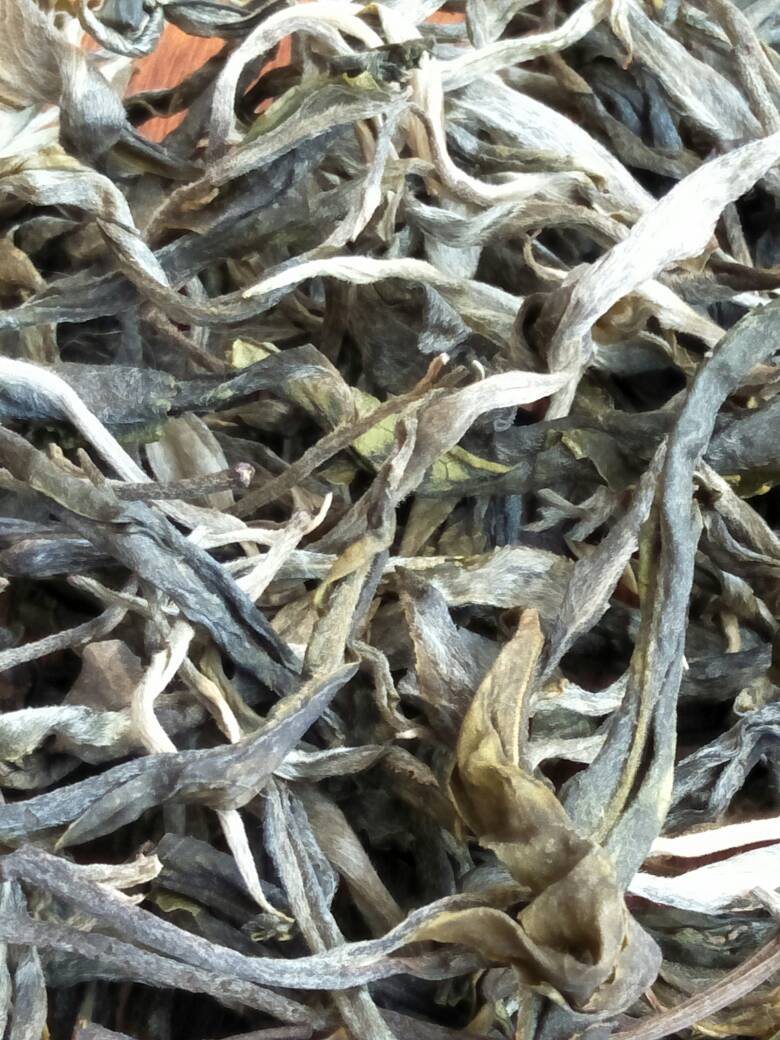 2023年壩歪古樹春茶價格是多少？