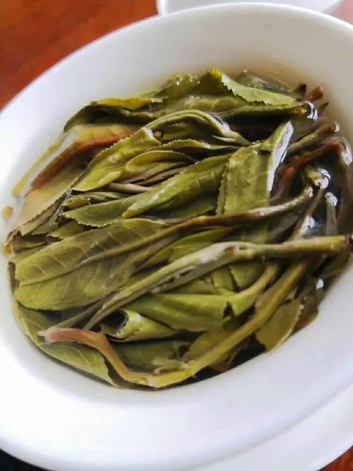 2023年鍋底塘古樹春茶特點是什么？