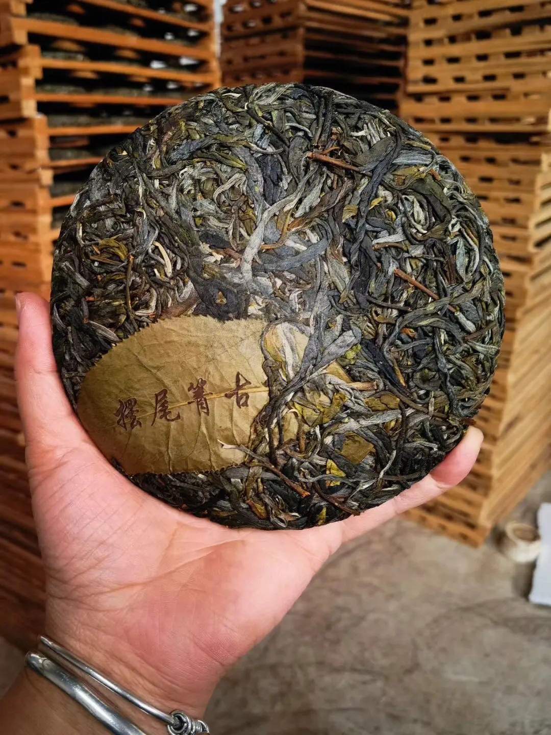 2023年寧洱擺尾箐古樹春茶品質(zhì)怎么樣？