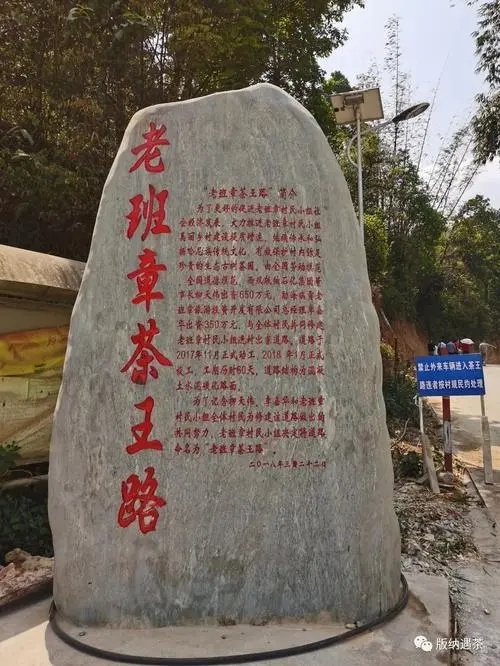 2024年老班章古樹春茶品質(zhì)如何？