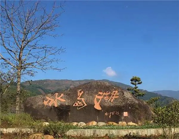 2024年冰島老寨古樹春茶品質(zhì)怎么樣？