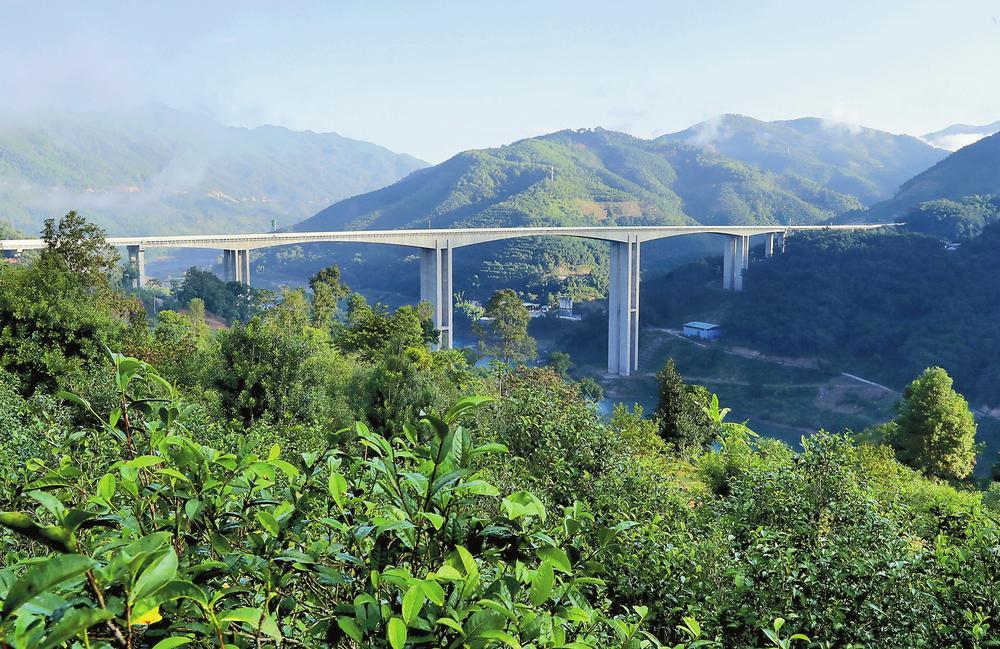 2024年昔歸古樹春茶品質(zhì)如何？